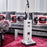 Buy Sebo X7 ePower White 91501GB Vacuum Cleaner Mansfield Nottingham Derby Chesterfield